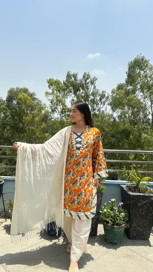CHIKAN FARSHI SET